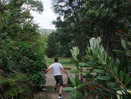 Disc Golf New Zealand